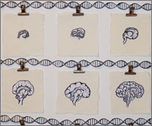 Epigenetics illustrations main