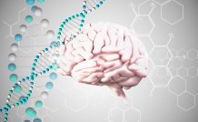 Brain DNA Shutterstock PAID