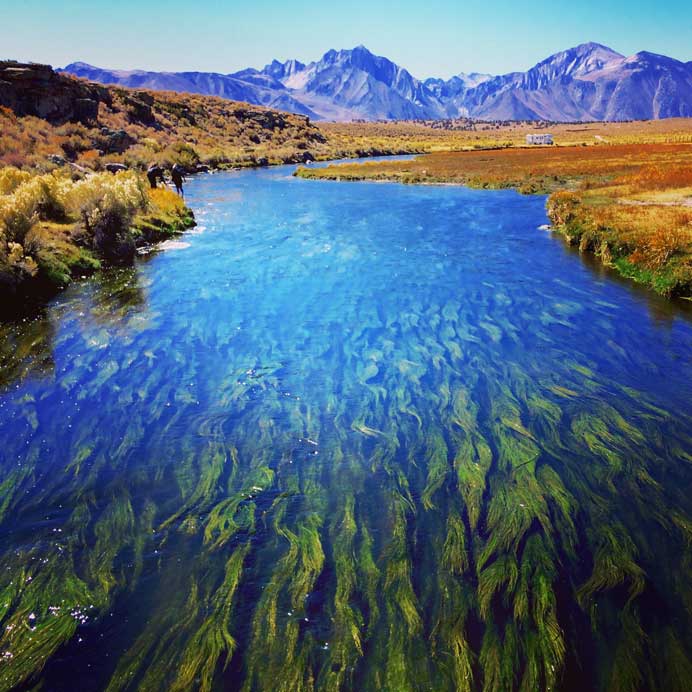 G eothermal river in Sierra Nevada, California© Laura Herron